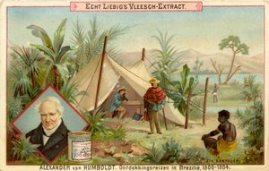 Alexander von Humboldts Entdeckungsreise, Liebig-Karte (Druck)