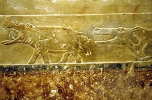 Altes Ägypten, Wandrelief/Malerei, Mastaba/Grab von Idout, Saqqara, 6. Dynastie, Nilpferd gebärt und fällt wartendem Krokodil zum Opfer (Foto)