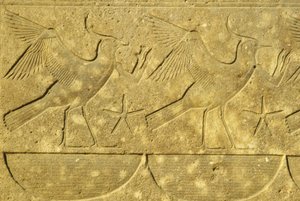 Altes Ägypten, Wandmalerei/-schnitzerei, Kiebitze, die die verschiedenen Stämme Ägyptens darstellen, Karnak-Tempel, Luxor von School Egyptian