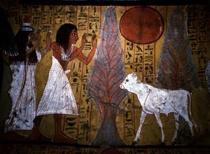 Luxor - Theben: Linkes Ufer des Nils. Website von DEIR EL MEDINEH: Dorf und Nekropole der Handwerker. Detail eines Wandgemäldes eines Grabes, das das Kalb zeigt, noch dünn und mit fragilen Beinen, verkörpert den zukünftigen Apis. 19. Dynastie. von School Egyptian