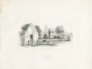 Tamworth von School English