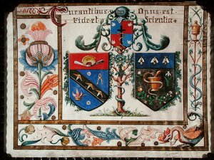 Wappen der Barbierchirurgen und Apotheker