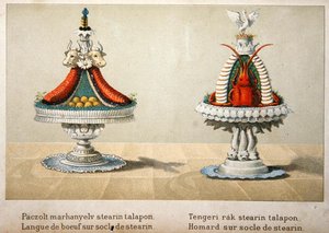 Design für die Präsentation von Ochsenzungen auf einem Bett aus Stearin und für Hummer, Illustration aus einem ungarischen Kochbuch über französische Küche, ca. 1880 von School Hungarian