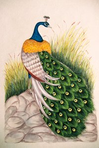 Miniaturmalerei auf Seide Pfau
