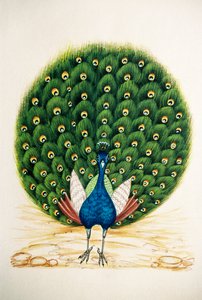 Miniaturmalerei auf Seide Pfau
