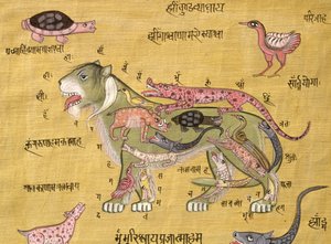 Tantrisches Diagramm von School Indian