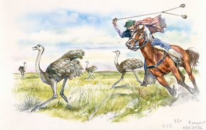 Argentinien - Viehhirten jagen Nandus in den Pampas von School Italian