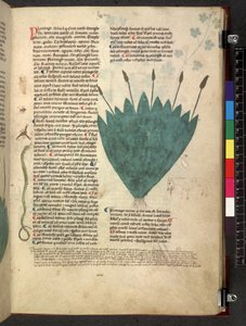 Egerton 747 Tractatus de herbis (Kräuterbuch) ca. 1280-1310 von School Italian