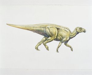 Hadrosaurier oder Entenschnabeldinosaurier (Farblithografie)