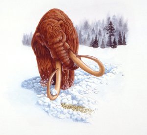 Mammut auf Nahrungssuche im Schnee, Pliozän/Pleistozän von School Italian