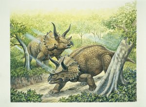 Triceratops horridus, Kreidezeit