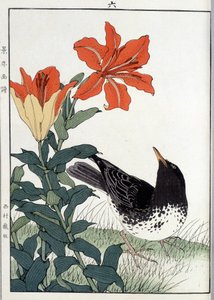 Amsel und Lilienblüten - Japanischer Druck von Japanese School