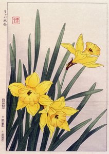 Nahaufnahme von Narzissen - Japanischer Druck von Japanese School