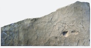 Hebräische Grabinschrift aus Beth Loya, Judäische Hügel, Israel, 6. Jahrhundert v. Chr. (Stein)