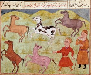 Islamische Kunst: Ein Herr und sein Bauernjunge fangen wilde Pferde mit dem Lasso. Persische Miniatur aus einem Manuskript des Epos „Shahnameh“ (Buch der Könige) von Ferdowsi (ca. 940-1020). Biblioteca Nazionale