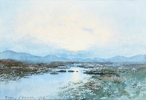Halbporträt von Robert George Duff von Wellington Lodge, Hyde (1817-1890)