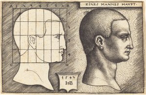 Kopf eines Mannes