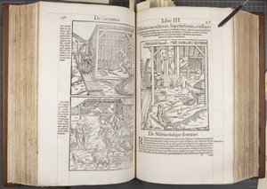 Cosmographia, Fol 436-437 von Sebastian Munster