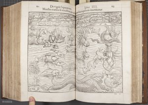Cosmographia, Fol 852-853, 1544 von Sebastian Munster