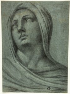 Kopf und Schultern einer verschleierten Frau