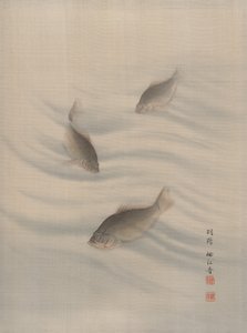 Fische schwimmen, ca. 1890-92