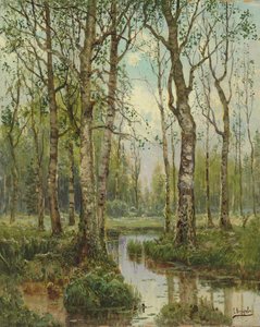 Ein Bach, der durch einen Birkenwald fließt von Semyon Fedorov