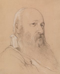 Porträt eines bärtigen Mannes von Severin Falkman