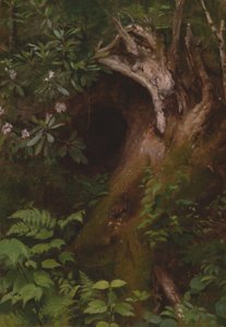 Das Eichhörnchen von Seymour Joseph Guy