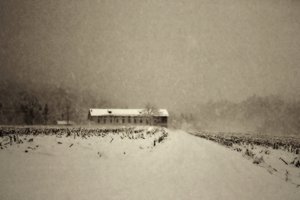 Winterliche Scheunenlandschaft von Sheila Bernard