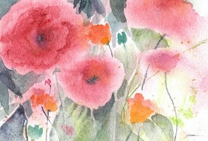 Rosa Aquarell-Mohnblumen