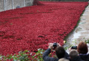 Blutüberströmte Länder und Meere aus Rot, Tower of London, 2014