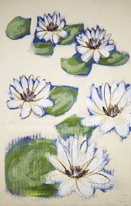Schwimmende Seerosen von Shelley Hampe