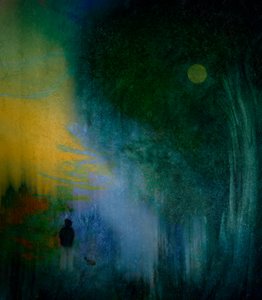  von Shenshen Dou