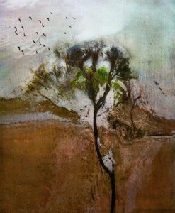  von Shenshen Dou