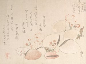 Kirschblüten und Muscheln, 19. Jahrhundert