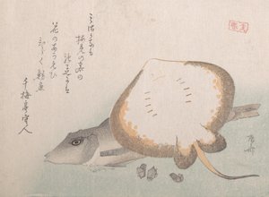 Stachelrochen und Knurrhahn, wahrscheinlich 1815 von Shinsai