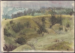 Landschaft mit Büschen, Italien, ca. 1950 von Shirley Markham