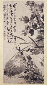 Hibiskus, Lotus und Felsen, ca. 1705-7