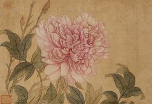 Pfingstrose, Blatt aus einem Album mit Blumenmalereien von Shouping Yun