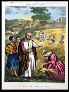 Ruth im Feld von Boaz, aus einer Bibel gedruckt von Edward Gover, 1870er Jahre