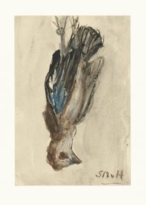 Toter Vogel, an seinen Beinen hängend von Sientje Mesdag van Houten