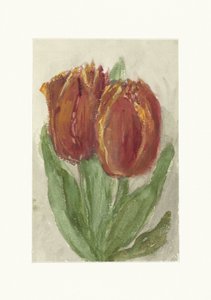 Zwei rote Tulpen