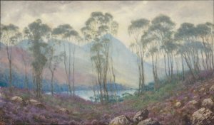 Eine schottische Landschaft