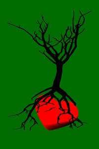 Herz des Baumes von Silvia Martini
