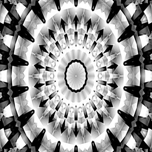 Schwarz-Weiß-Sinfonie von Silvia Martini