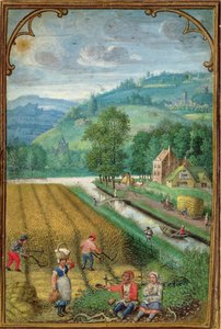 Add 18855 September: Ernte, Pflügen und Säen, aus einem Stundenbuch, ca. 1540