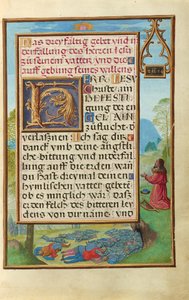 Rand mit David, der Gott anfleht, die Pest zu beenden von Simon Bening