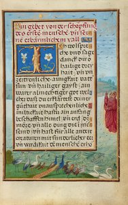 Bordüre mit der Erschaffung von Vögeln und Fischen von Simon Bening