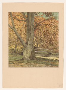 Baum am Bach im Herbst von Simon Moulijn (attributed to)