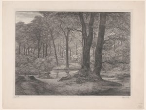 Wald mit Teich und liegendem Mann